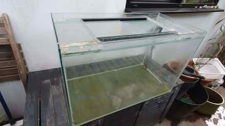 Photo of free Fishtank (Hanover BN2) #2