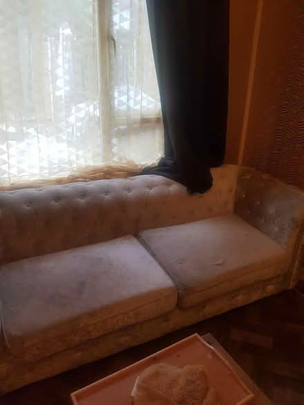 Photo of free Champange Chesterfield (L33) #2