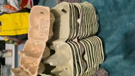 Photo of free Egg boxes (Great Lever Bolton BL3) #1