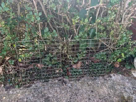 Photo of free 2 x oven cooker shelves -35 x 45 cm (Lemsford AL8) #1