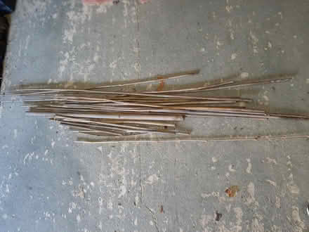 Photo of free Bundle of garden canes (Cogenhoe) #2