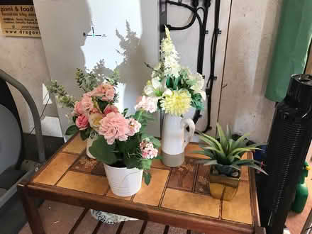 Photo of free Artificial flowers &Aloe Vera (Weston-super-Mare BS22) #2