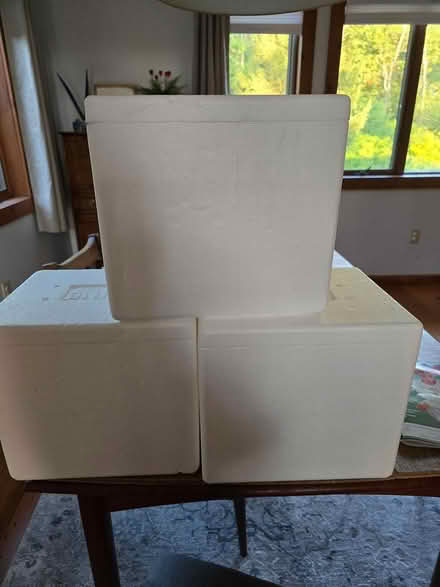 Photo of free Styrofoam boxes (Poughkeepsie/Hyde Park) #1