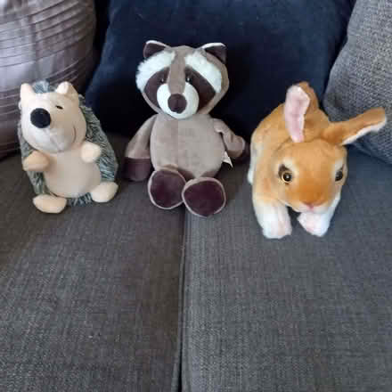 Photo of free Woodland themed items for new baby display/event (Bramley Green RG26) #2