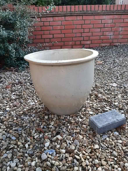 Photo of free Large cream plant pot (Cogenhoe) #2