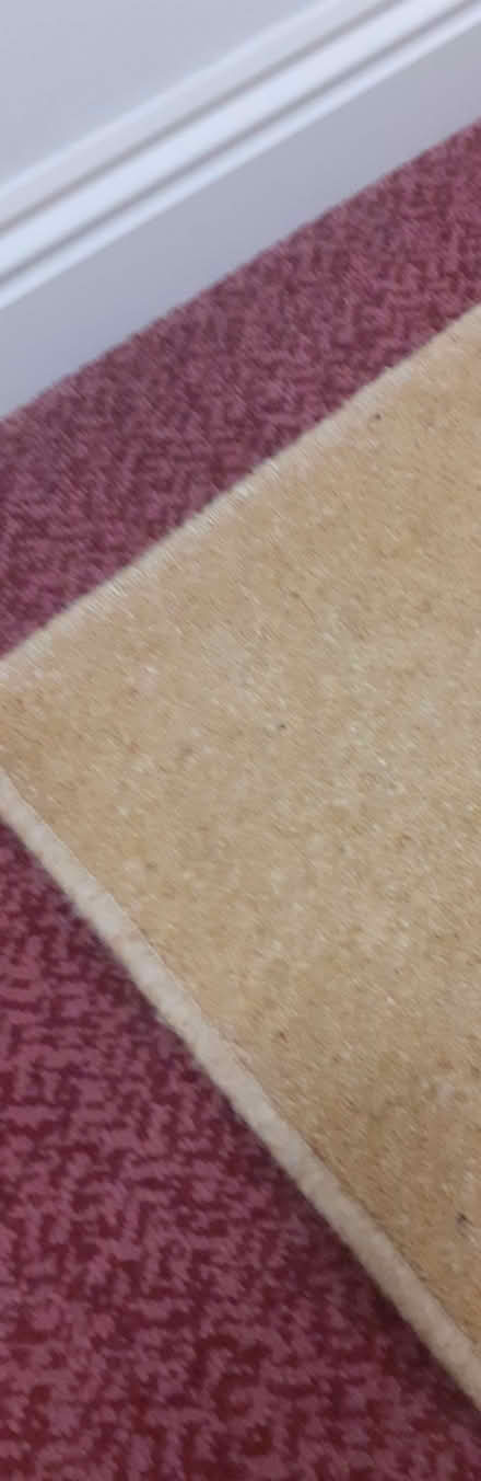Photo of free Gold coloured rug (Prince of Wales Steps TQ1) #1
