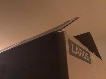 Photo of free Box with loads of packing paper (Hesperian Blvd) #1