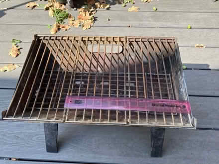 Photo of free Camping BBQ (Bournemouth BH9) #3