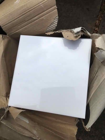 Photo of free Box of white tiles (Hertford Road SG2) #1