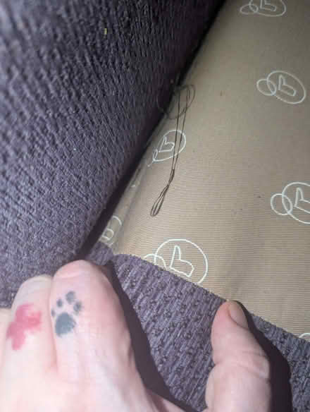 Photo of free dfs sofa (St James' Street BN2) #1