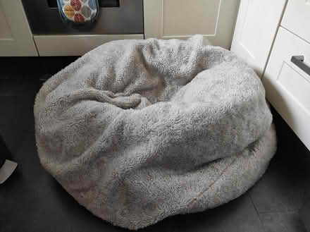 Photo of free Bean bag (Bollington SK10) #1