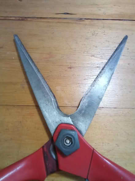 Photo of free Garden Shears (Catherine-de-Barnes B91) #4