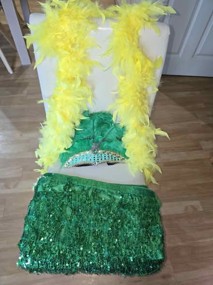 Photo of free Carnival accessories (BH2) #1