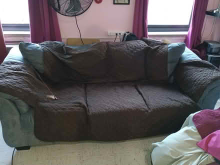 Photo of free Queen-size sofa bed (By the Seaport) #1