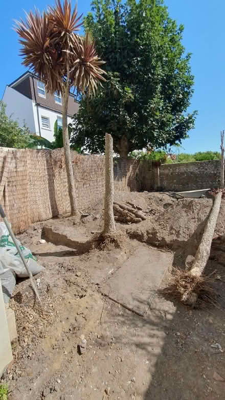 Photo of free topsoil (Bn1 4qn) #1