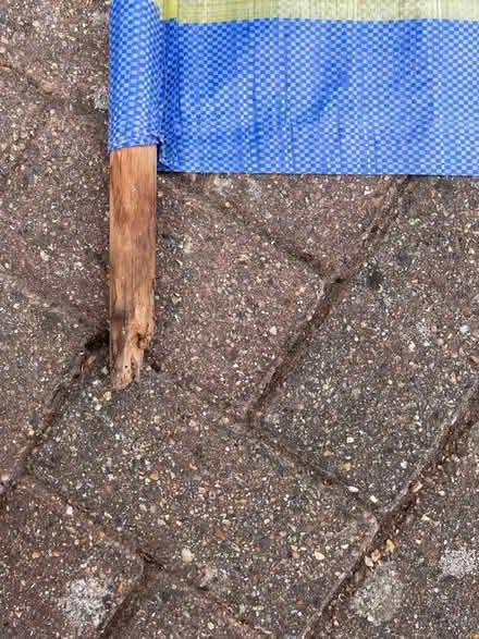 Photo of free Windbreak (Sidley TN39) #3