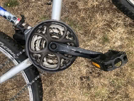 Photo of free Rayleigh Bike (Halstead CO9) #2