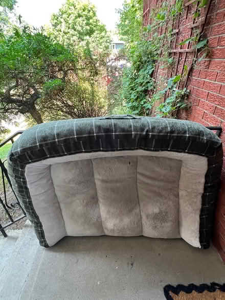 Photo of free Extra-Large Dog Bed (used) (Algonquin Square area) #1