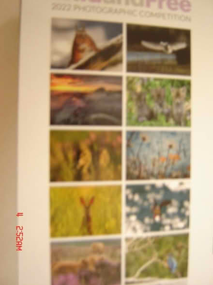 Photo of free Pictures (BA2) #2