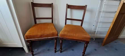 Photo of free Pair of 1930s-1950s dining chairs (Chelmsford CM1) #3