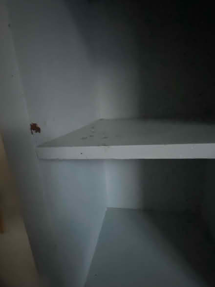 Photo of free Tall thin shelf unit (Beaumont LA1) #4