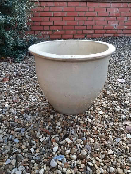 Photo of free Large cream plant pot (Cogenhoe) #1