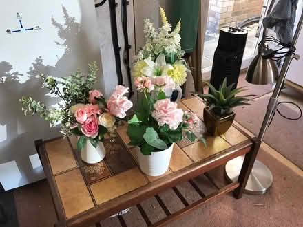 Photo of free Artificial flowers &Aloe Vera (Weston-super-Mare BS22) #1