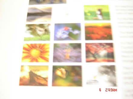 Photo of free Pictures (BA2) #4