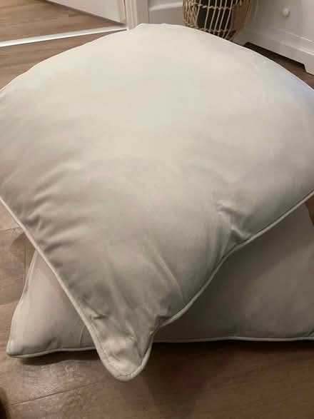 Photo of free Two large pillows (Mile Oak BN41) #1