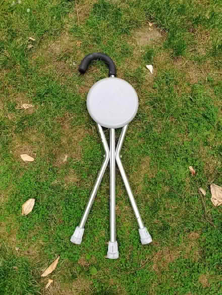 Photo of free Walking stick/seat (CO12) #2