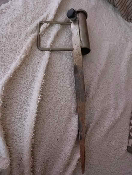 Photo of free Ground spike (CO12) #1