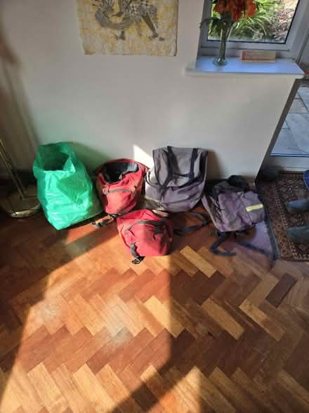 Photo of free Cycle panniers (Ridgeway Dr & Ridgeway Rd) #1