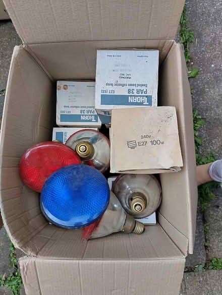Photo of free Large Coloured light bulbs ex disco (Mansfield, NG19) #1