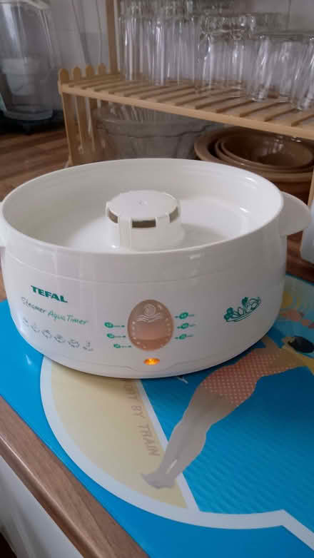 Photo of free Electric food steamer (Longley S5) #3