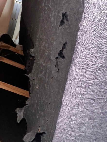 Photo of free Sofa bed - working condition (Everton L5) #3