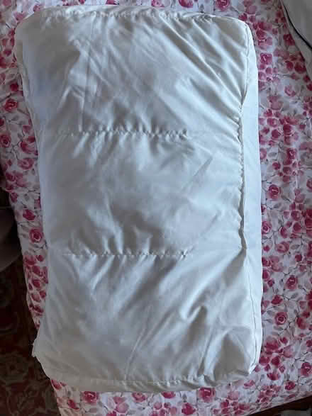 Photo of free Pillow Standard Size (UES) #1