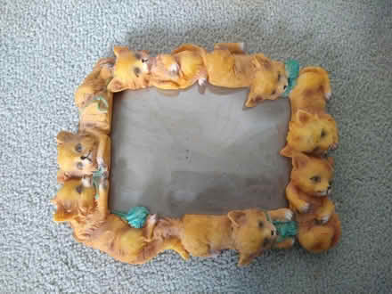 Photo of free Dog photo frame (Caversham RG4) #1