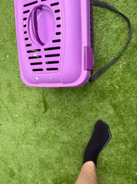 Photo of free Rabbit/small animal carrier (Fort Pitt ME1) #1