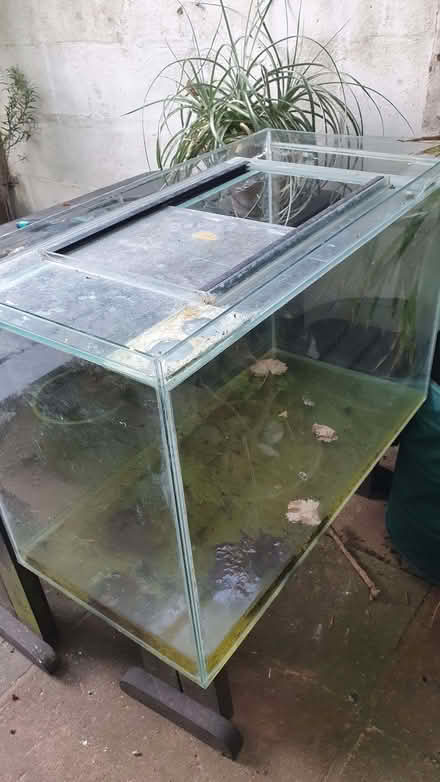 Photo of free Fishtank (Hanover BN2) #1