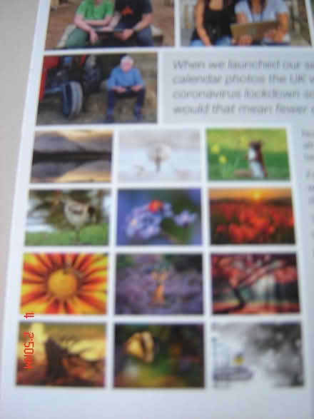 Photo of free Pictures (BA2) #3