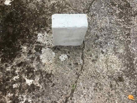 Photo of free Breeze Block (East Exeter.) #1