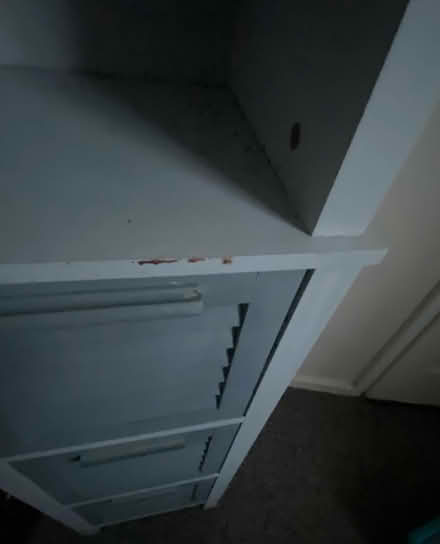 Photo of free Tall thin shelf unit (Beaumont LA1) #3