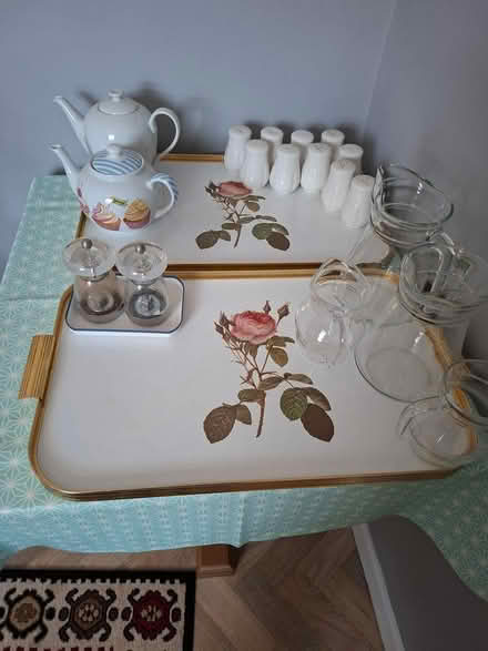 Photo of free Large trays (Paignton TQ4) #1