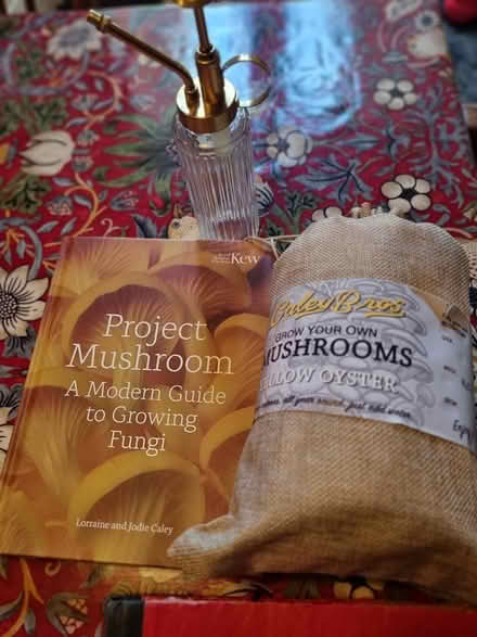 Photo of free mushroom kit (West Pennard BA6) #1
