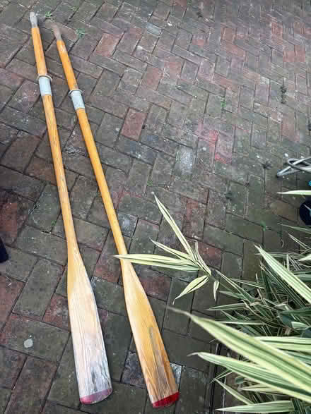 Photo of free Wooden oars (East molesey KT8) #1