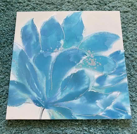 Photo of free Floral Canvas Picture (AB12) #1