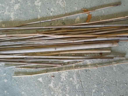 Photo of free Bundle of garden canes (Cogenhoe) #1