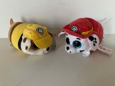 Photo of free Ty Paw Patrol (Spring Hill, Somerville) #1