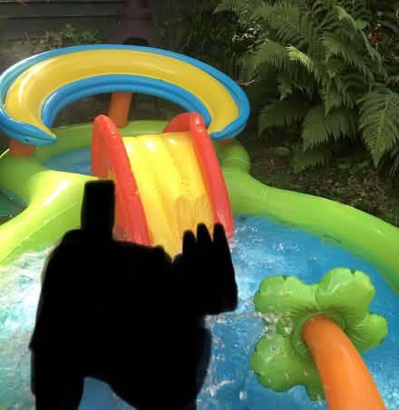 Photo of free Paddling pool with slide and water spray (Latchford WA4) #1
