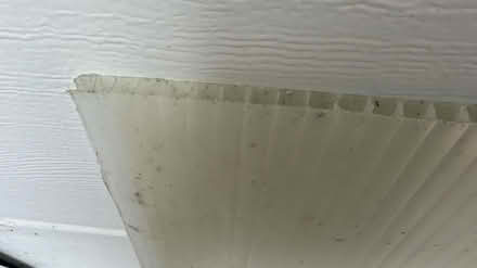 Photo of free Polycarbonates sheet (Bingley BD16) #3